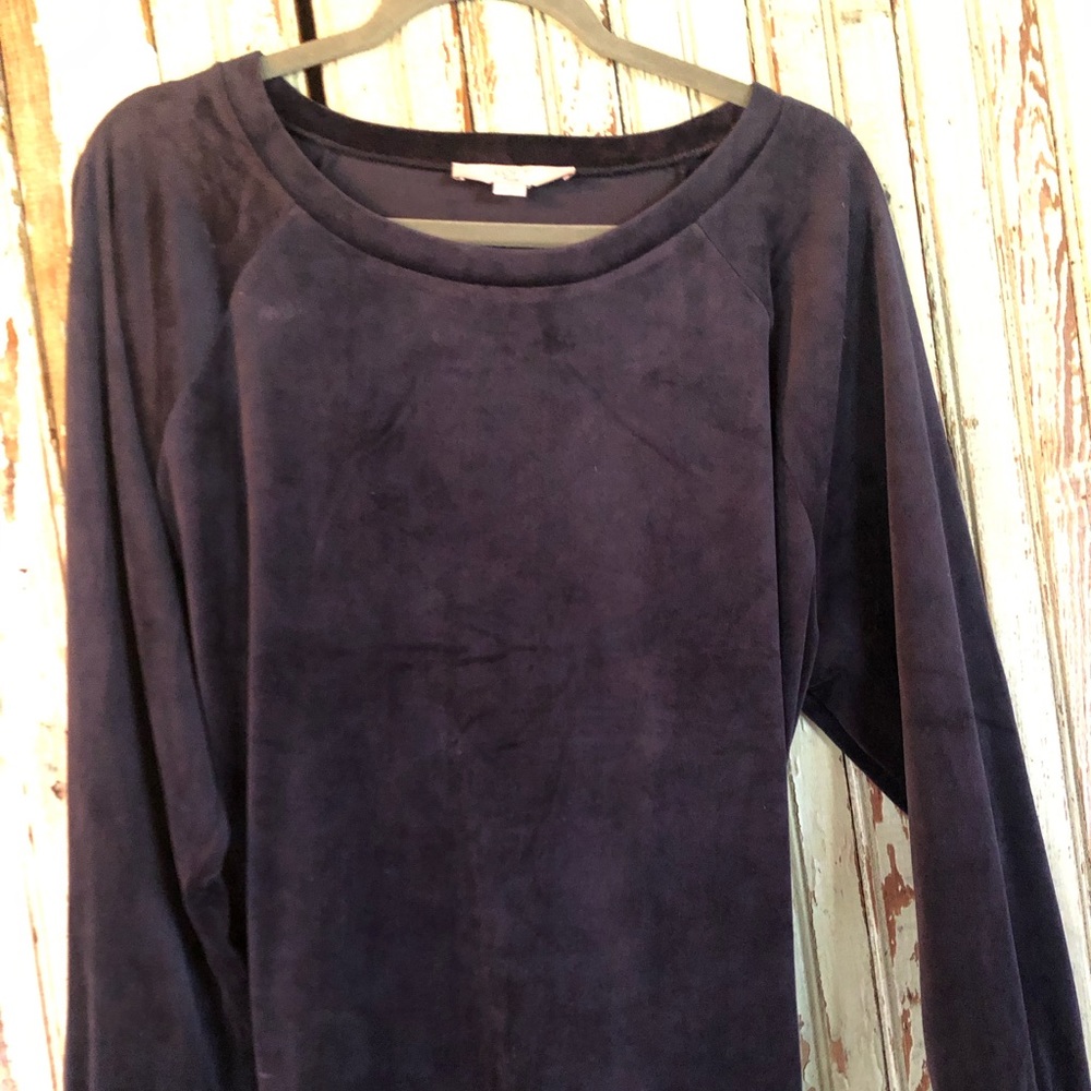 The Loft Navy Blue Velour Swearshirt